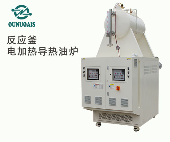 反應(yīng)釜電加熱導熱油爐